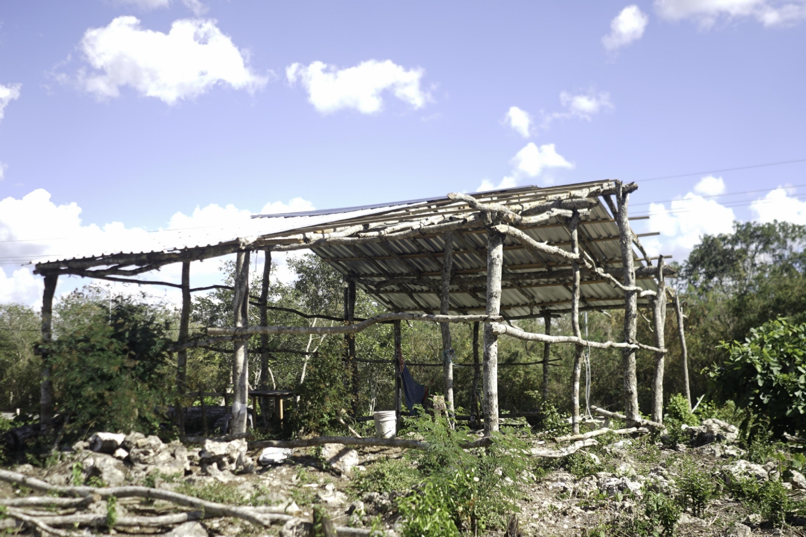 Realizan desmonten ilegal en Reserva Cuxtal en Mérida, denuncian