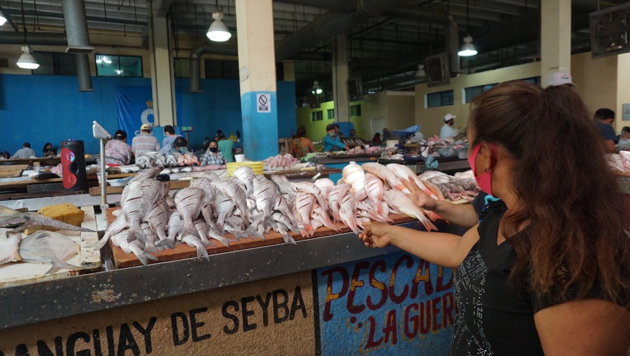 Podría aumentar el costo del pescado, pese a crisis económica en Campeche