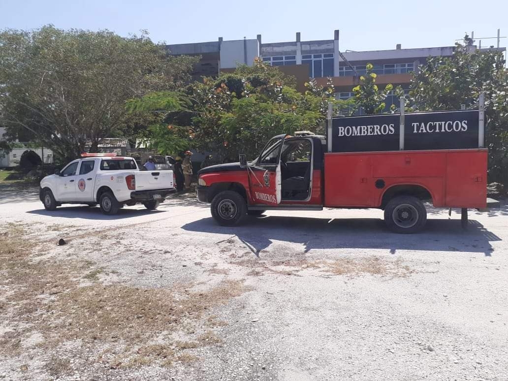 Al lugar llegaron elementos de bomberos y de Protección Civil para sofocar las llamas