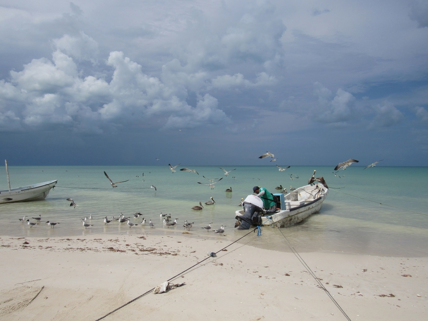 Por su ubicación la Tormenta Tropical Alex no representa peligro para Yucatán