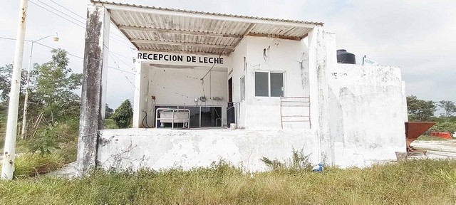 Producción lechera en peligro, descienden ventas en candelaria