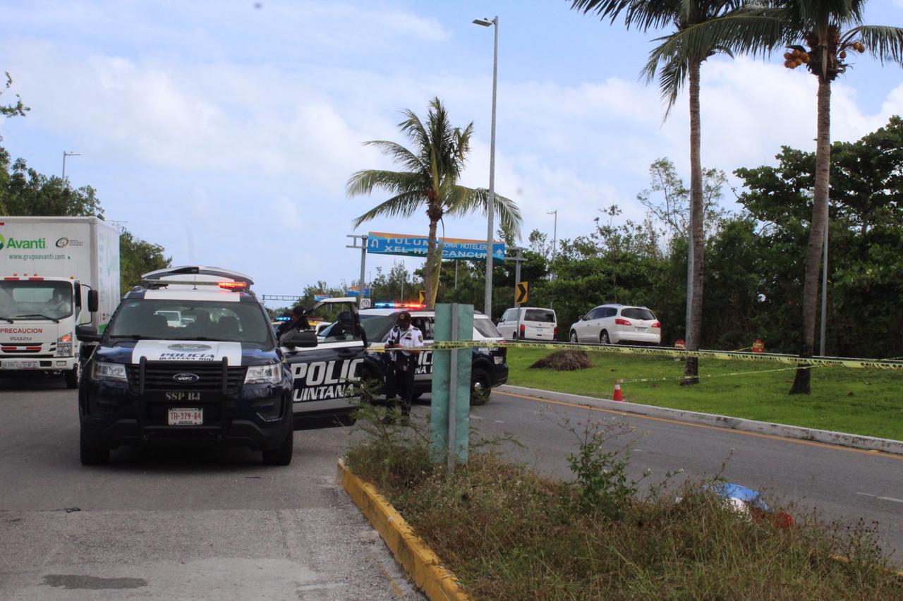 Preocupante aumento de violencia en Quintana Roo: Diputada Federal
