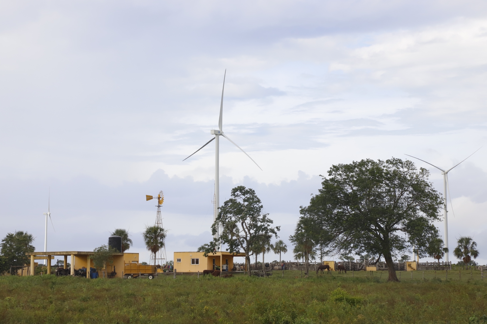 Muchas empresas han visto las bondades del aire y el sol en la entidad yucateca