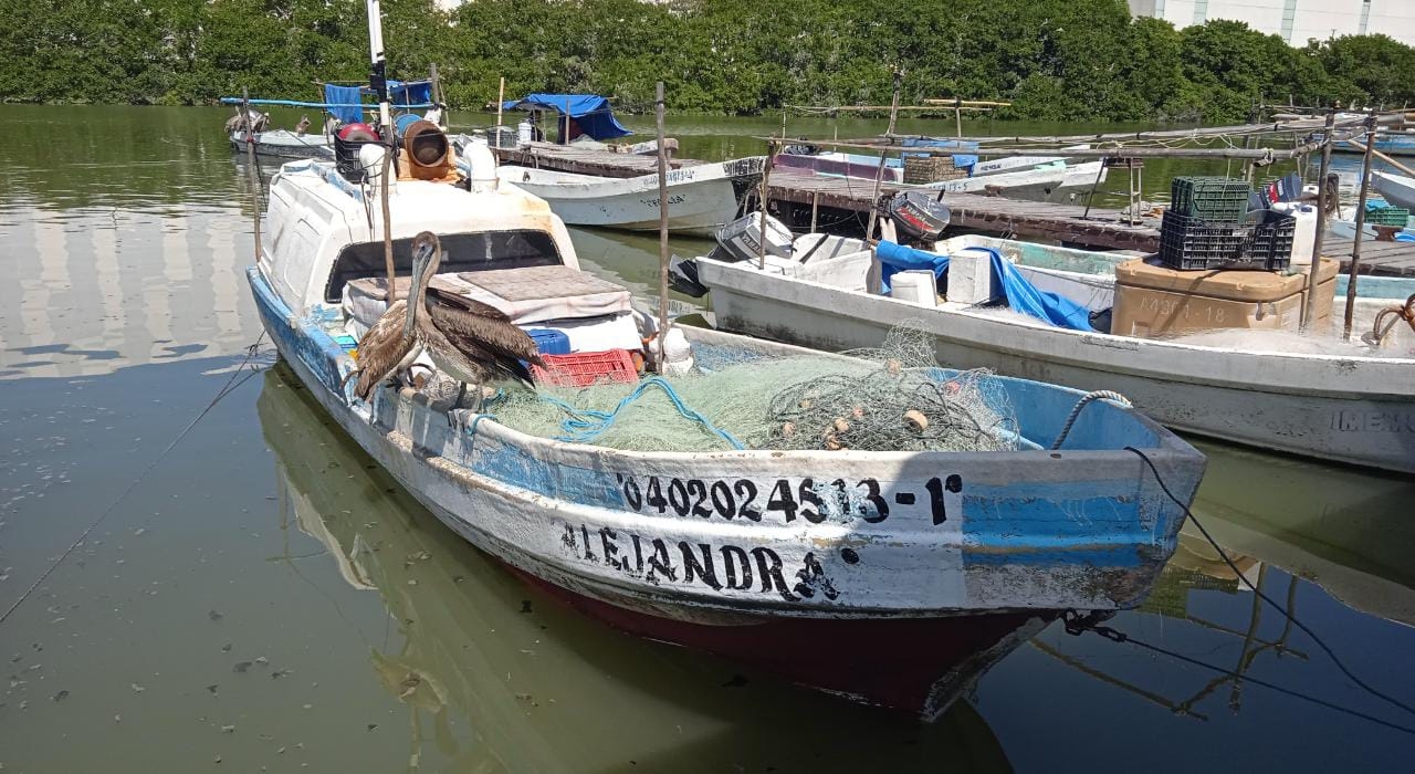 En Lerma se produce hasta tonelada y media de robalo, boquinete y otras especies marinas por viaje a la semana