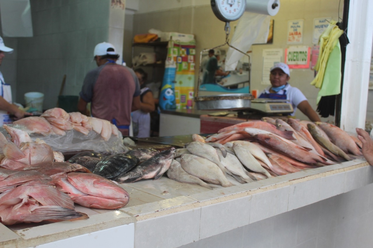 Este tipo de negocios tendrán que cuidar que los mariscos se encuentren en buen estado