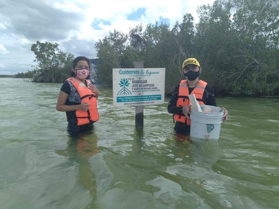 Las alumnas buscan rescatar el mangle y el carrizo