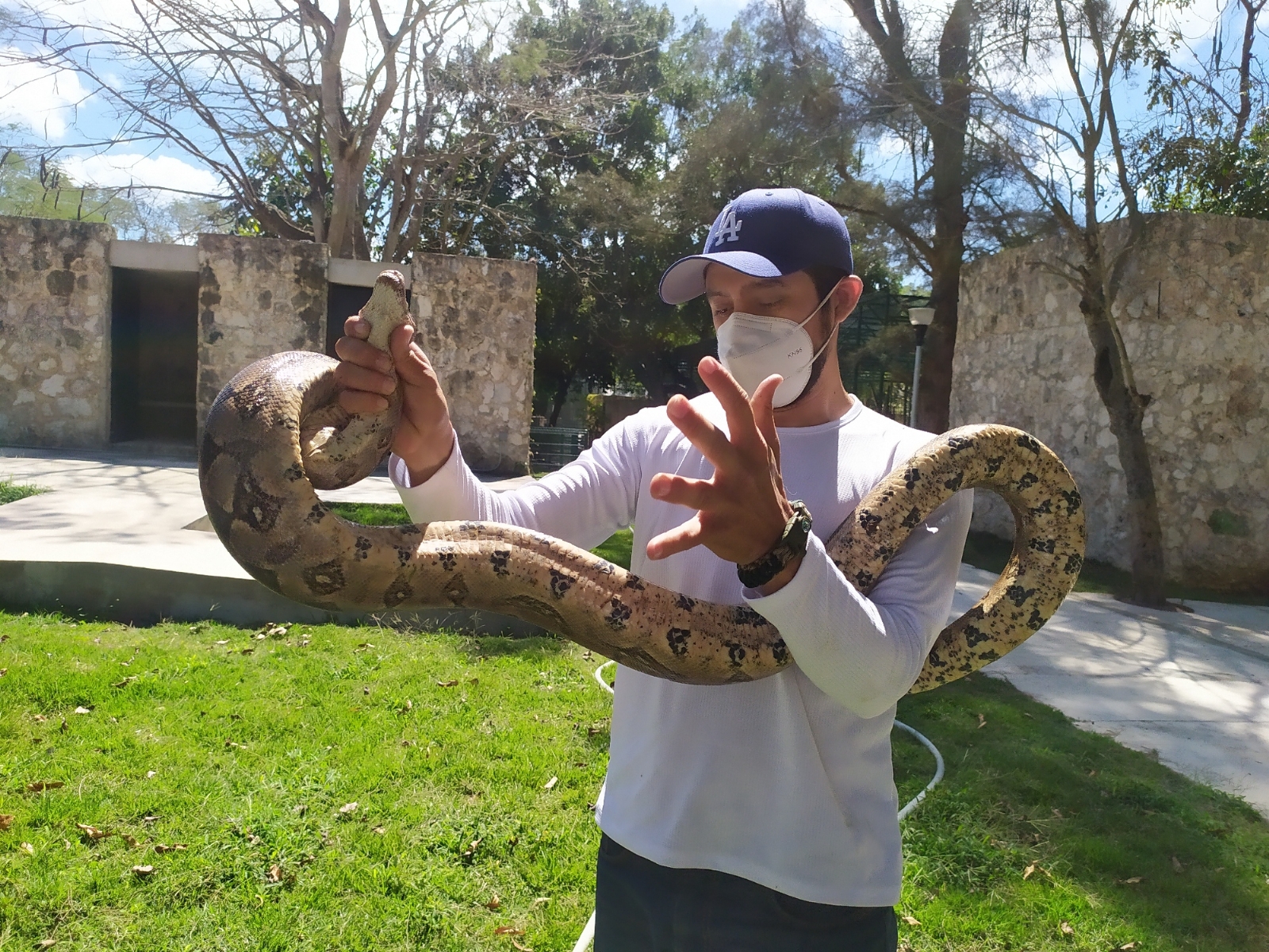 Hoy, los ejemplares sufren menos estrés. En la imagen, manejo de una boa constrictor