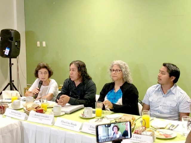 Elisa Cruz Rueda, representante legal del Consejo Regional Indígena y Popular de Xpujil