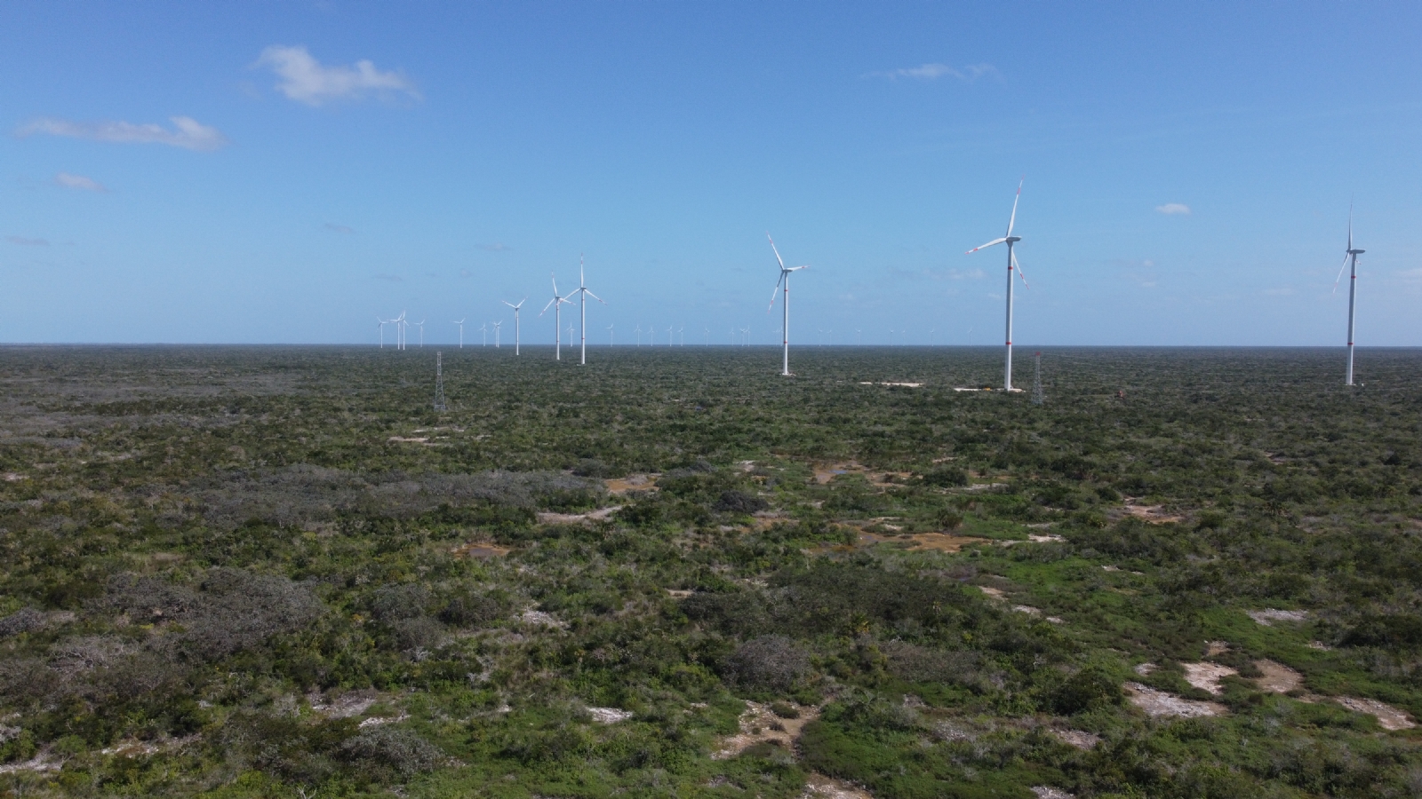 Estudio destaca beneficios de energías renovables en Yucatán