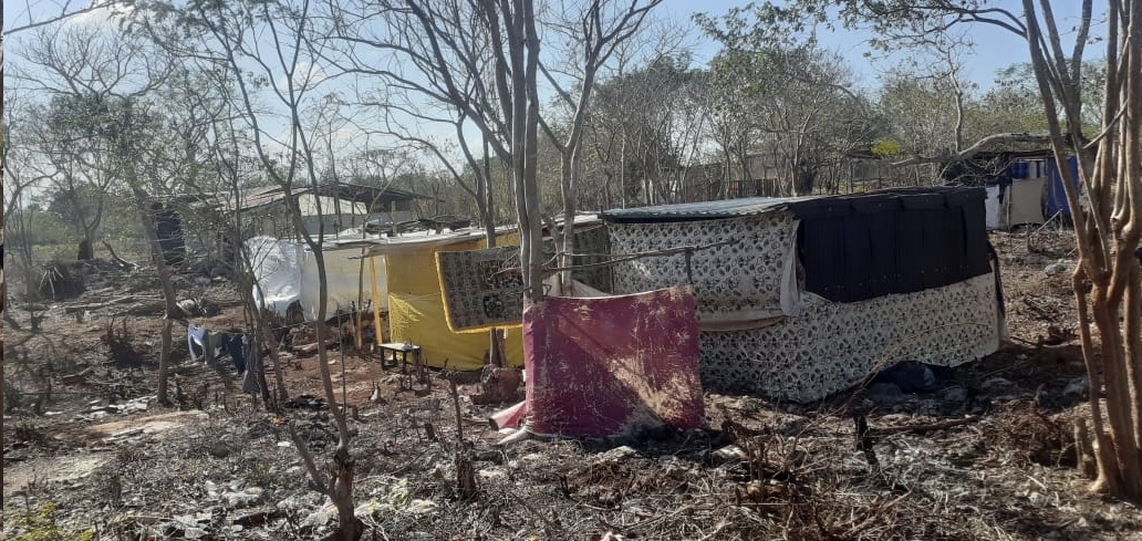 Los invasores de los espacios ubicados en el Sur de Mérida, por lo general, son madres solteras, matrimonios jóvenes y personas provenientes de otros Estados