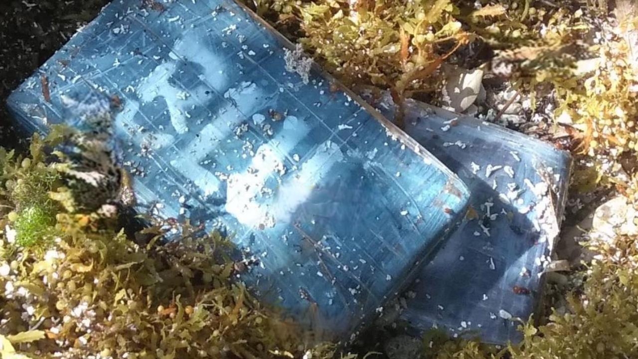 Hallan paquetes de droga en la zona costera de Tulum