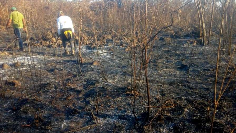 Se espera severo periodo de incendios en Lázaro Cárdenas: Protección Civil