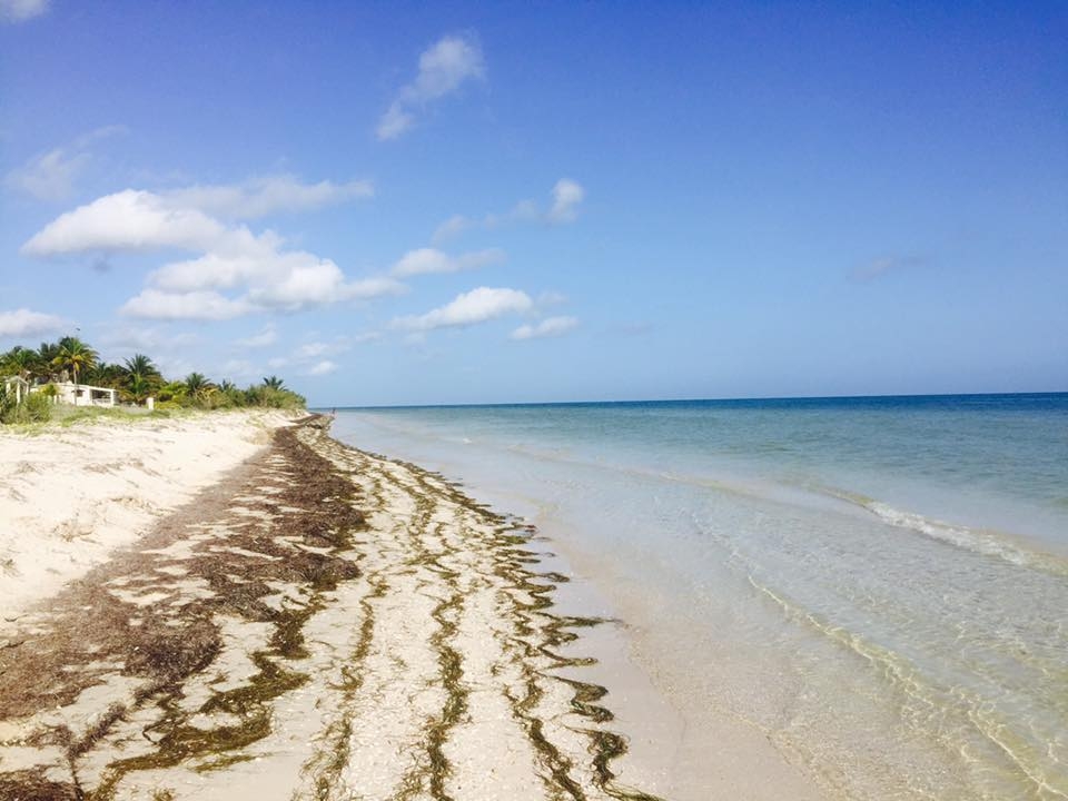 San Crisanto, el edén de la costa yucateca