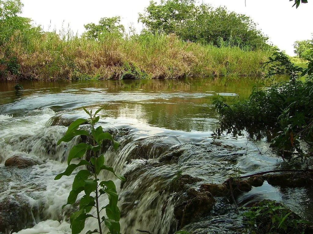 Río Candelaria, el más caudaloso de Campeche