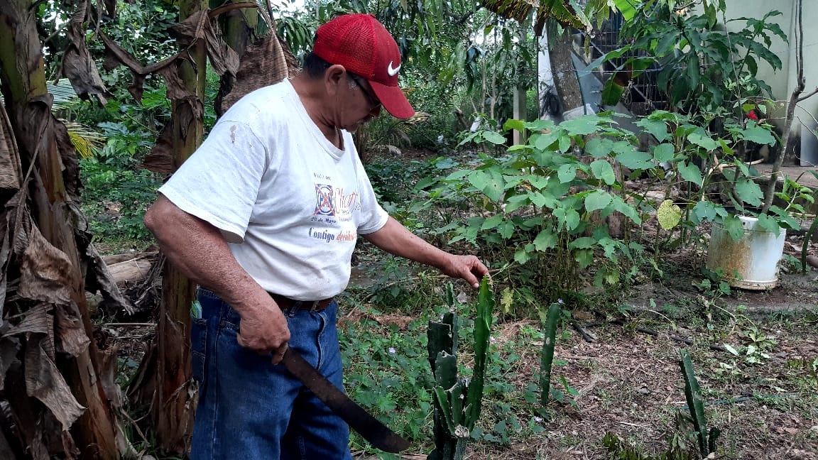 Su vivero dispone de una amplia variedad de especies