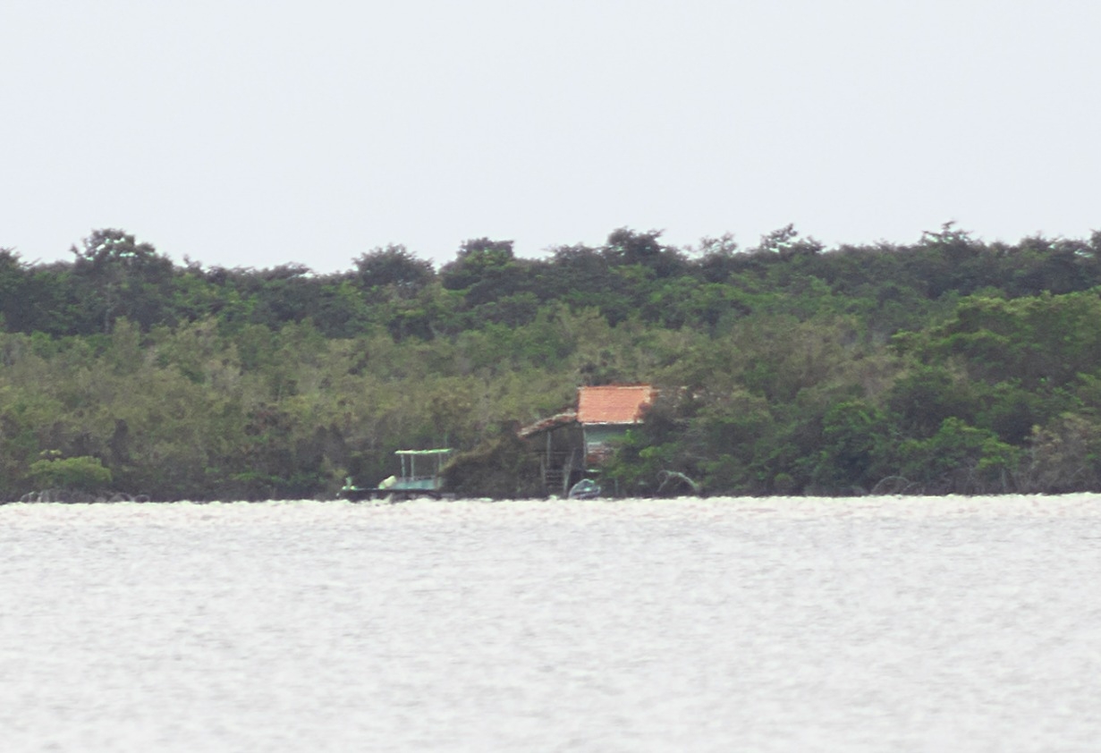 Aparece construcción en área restringida de la Laguna de Buenavista en Bacalar