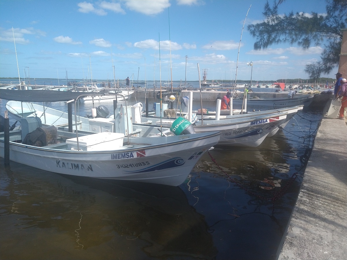 Pescadores en crisis por la baja captura de especies en Yucatán