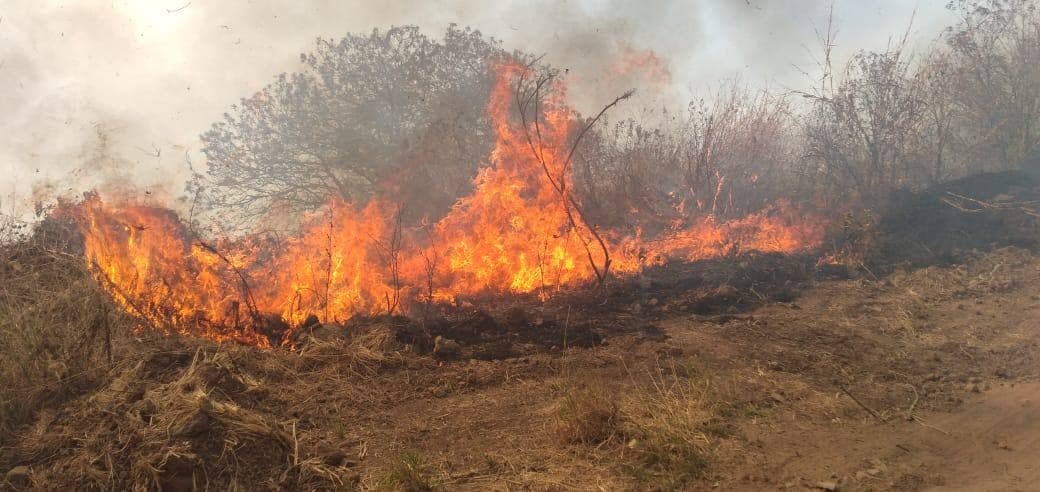 Ya son 76 elementos de Semadet que se encuentran en el lugar