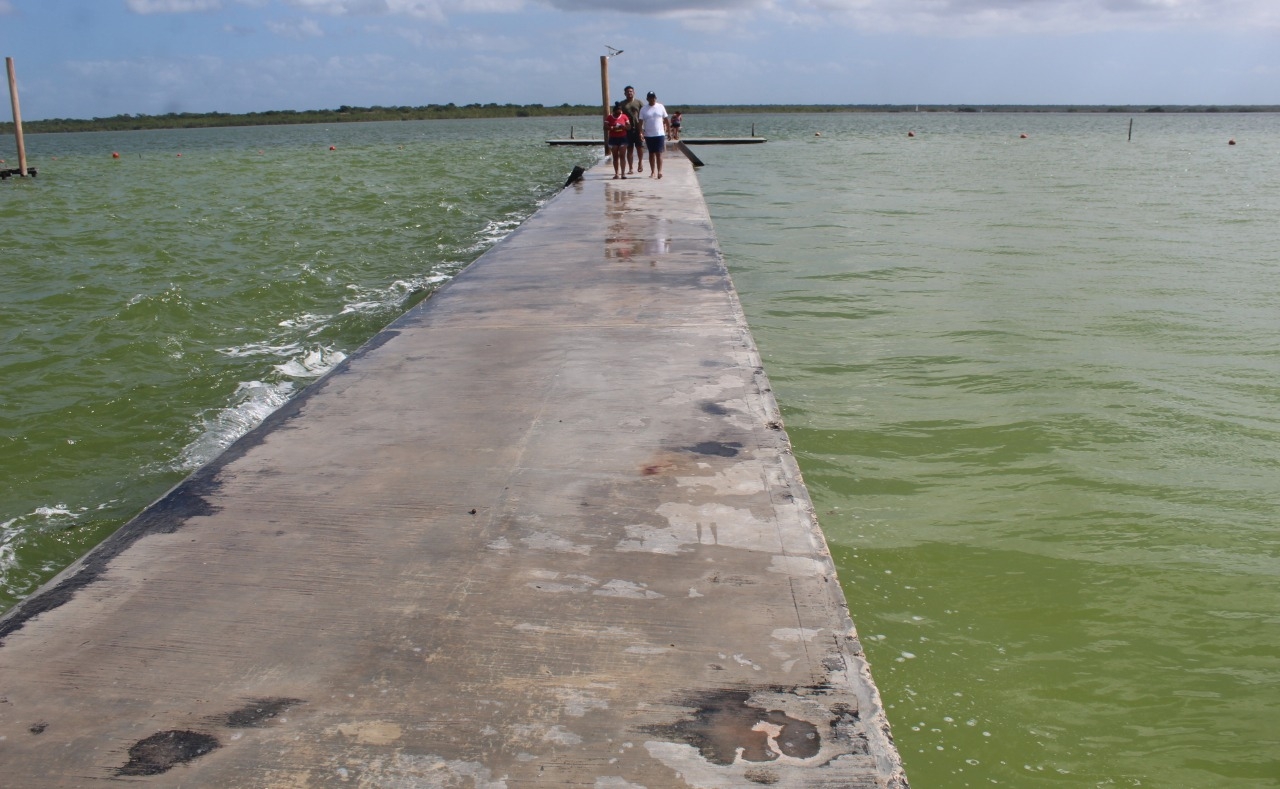 Mientras el agua no circule, en el fondo de la laguna seguirá habiendo el lodo que le da el color verde