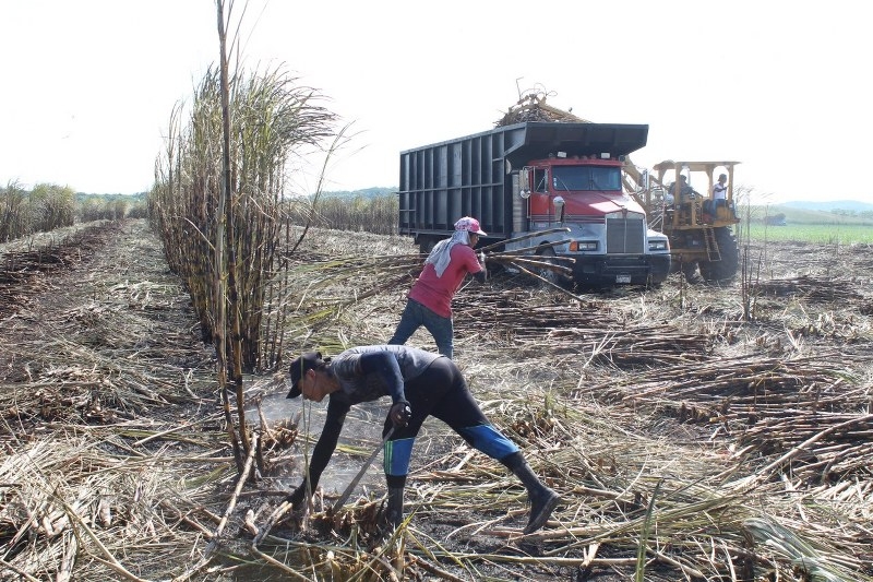 Los pocos proyectos que se han salvado por el recorte, se perderán