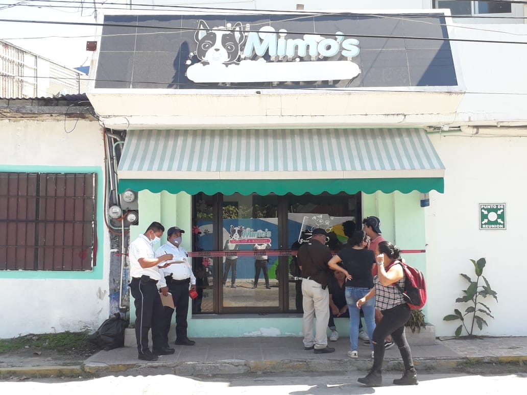 A mano armada, asaltan una tienda de mascotas en Ciudad del Carmen