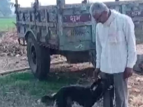 El hombre dejó parte de su herencia a su mascota