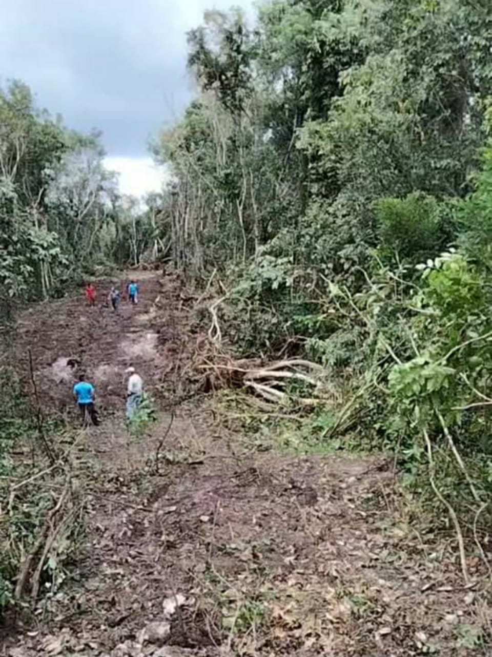 Es en estos trabajos que se hizo el descubrimiento