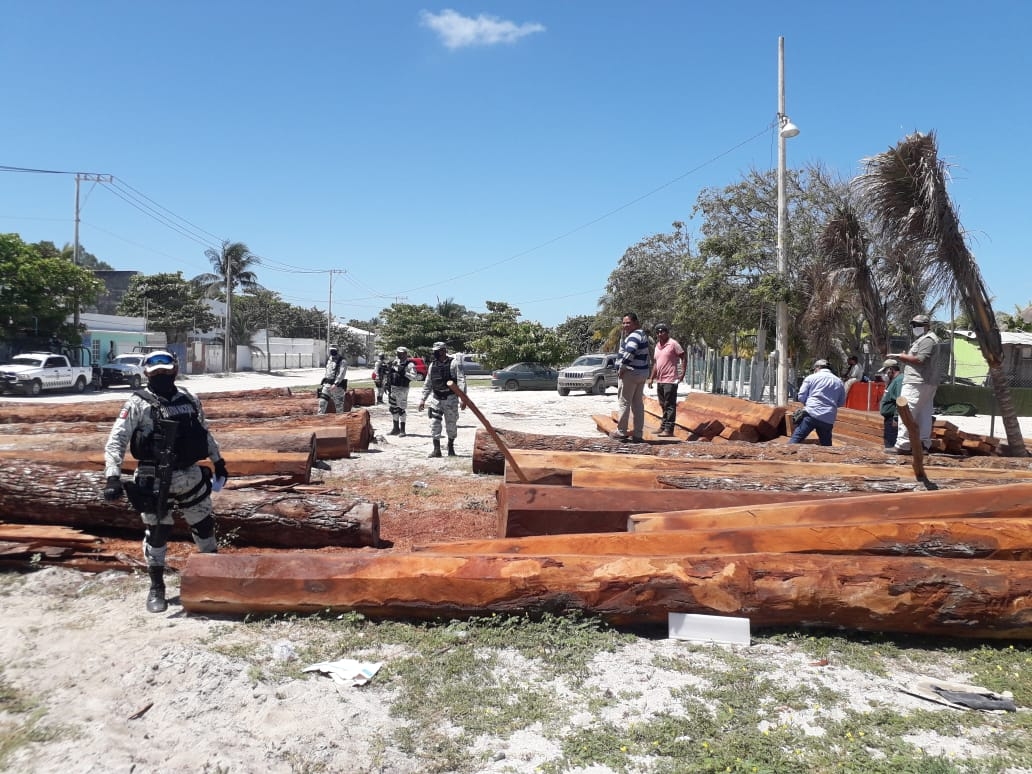 Activistas piden que se investigue la procedencia de la madera