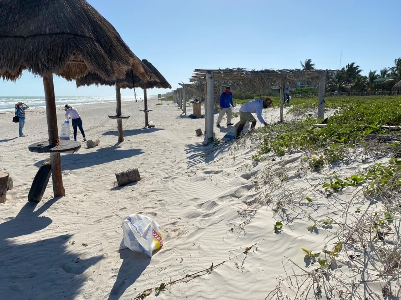 Impulsan conciencia ambiental a través de la limpieza de playas en El Cuyo