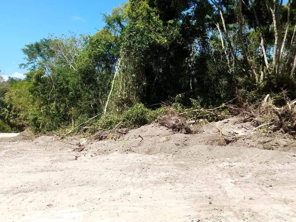 Destruyen parte de selva por nuevo camino de acceso a "El Chorro" en Juan Sarabia, Chetumal