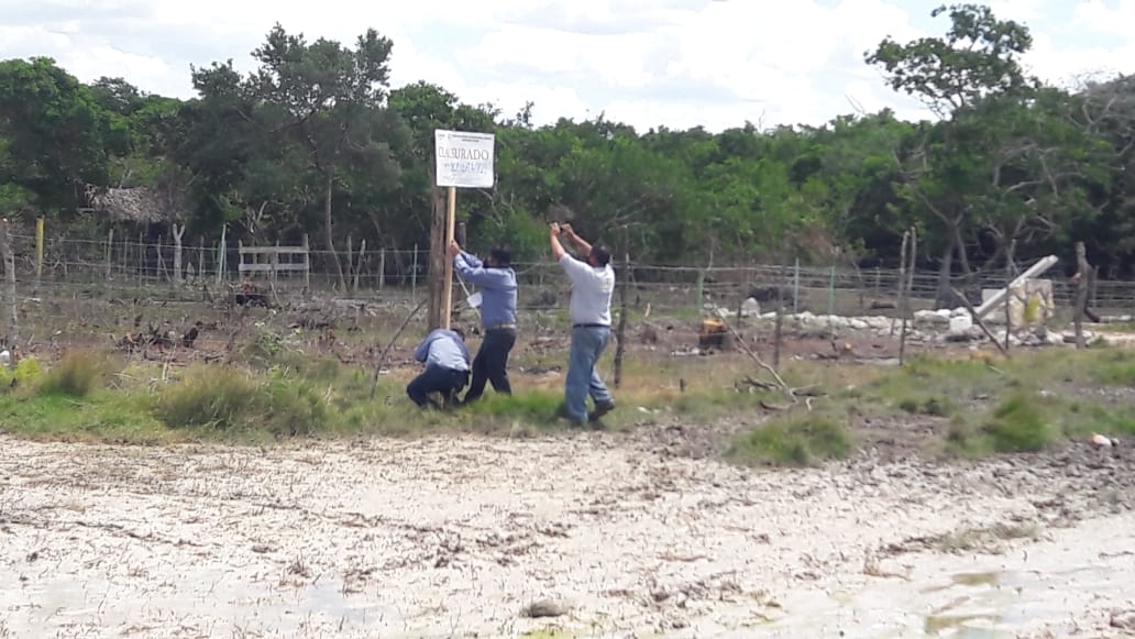 Profepa clausura predio por afectar a manglares en Río Lagartos