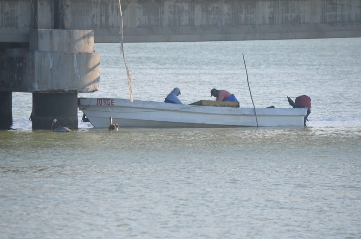 Pescadores piden pagos de apoyos de programa federal por veda en Ciudad del Carmen