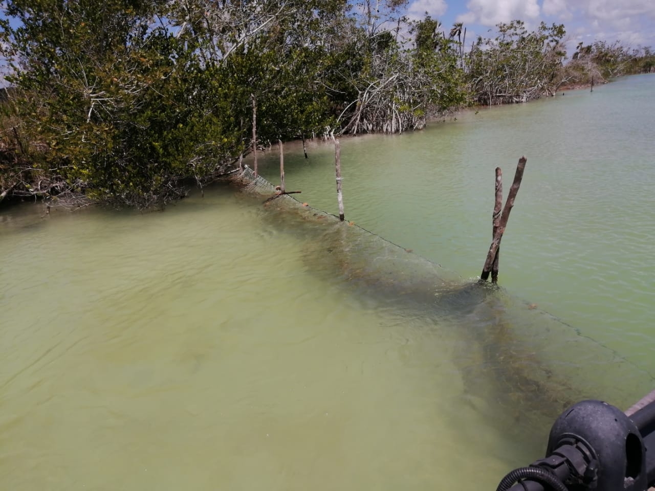 Semar encuentra red de pesca ilegal abandonada en Chetumal