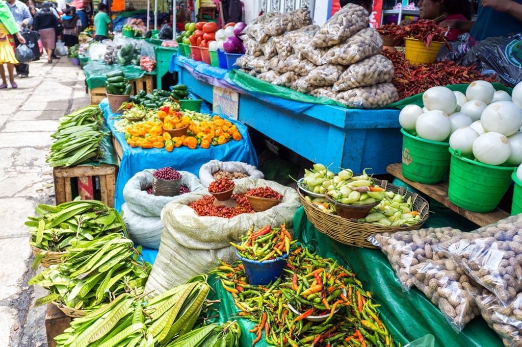 Estación logística del Tren Maya en Cancún fortalecerá sector agroalimentario