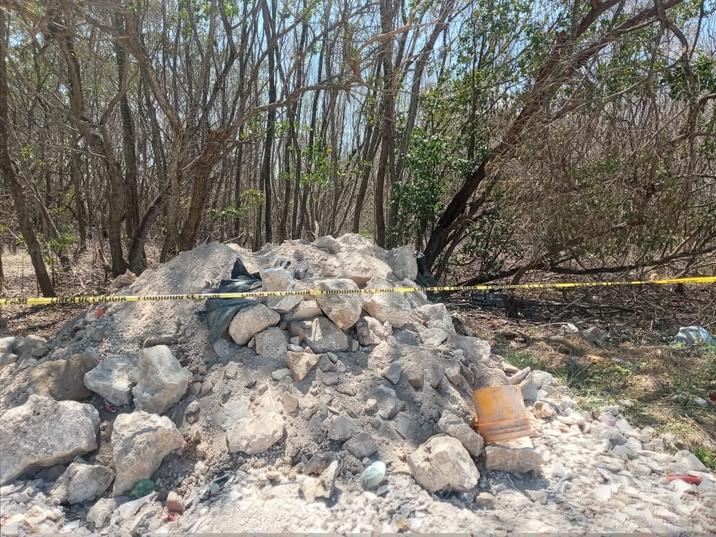 Sancionan a conductor de un camión por dañar el manglar de Progreso