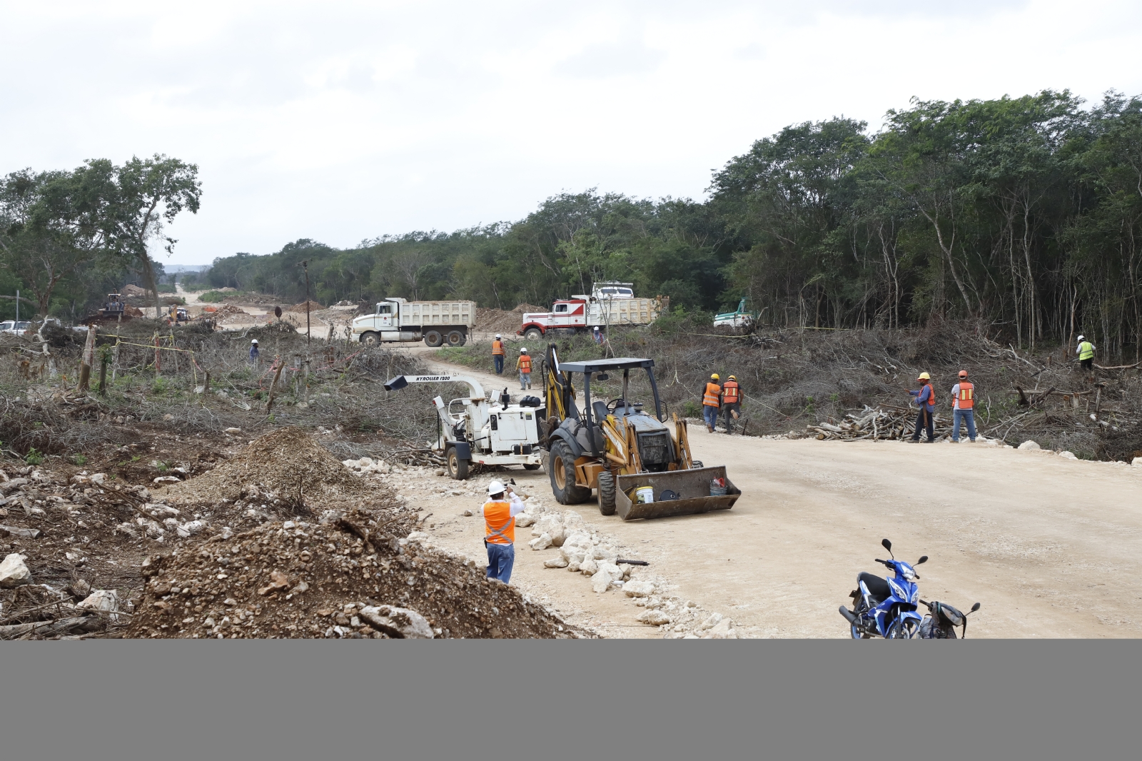 Fonatur: Suspensión de obras del Tren Maya en Yucatán sin afectaciones