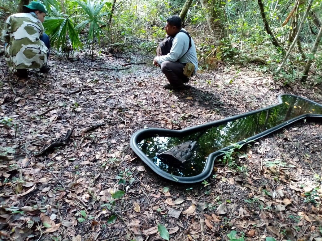 Instalan bebederos artificiales para proteger la Reserva Balam-Kú en Campeche