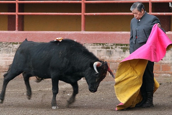 El torero en una presentación