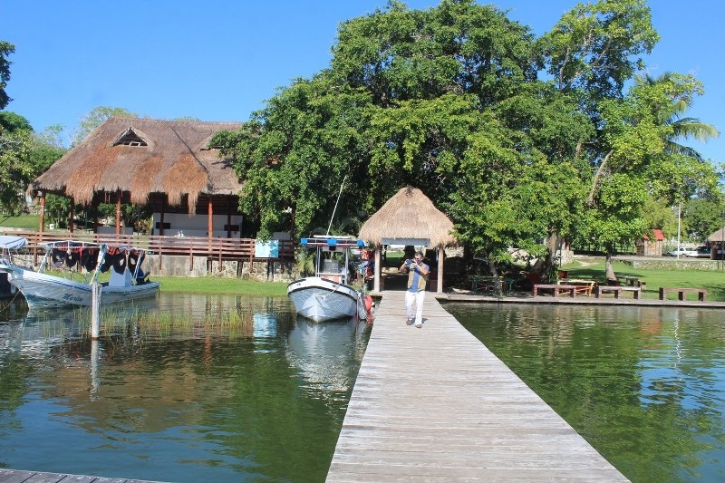 Laguna de Bacalar luce de color verde por la eutrofización, según expertos