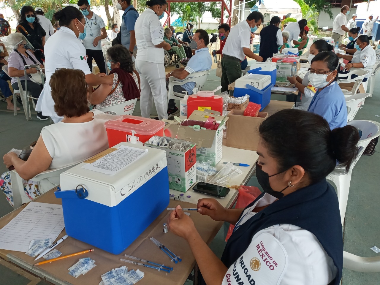Vacunan a 4 mil 875 adulos mayores en la colonia del Bosque de Chetumal