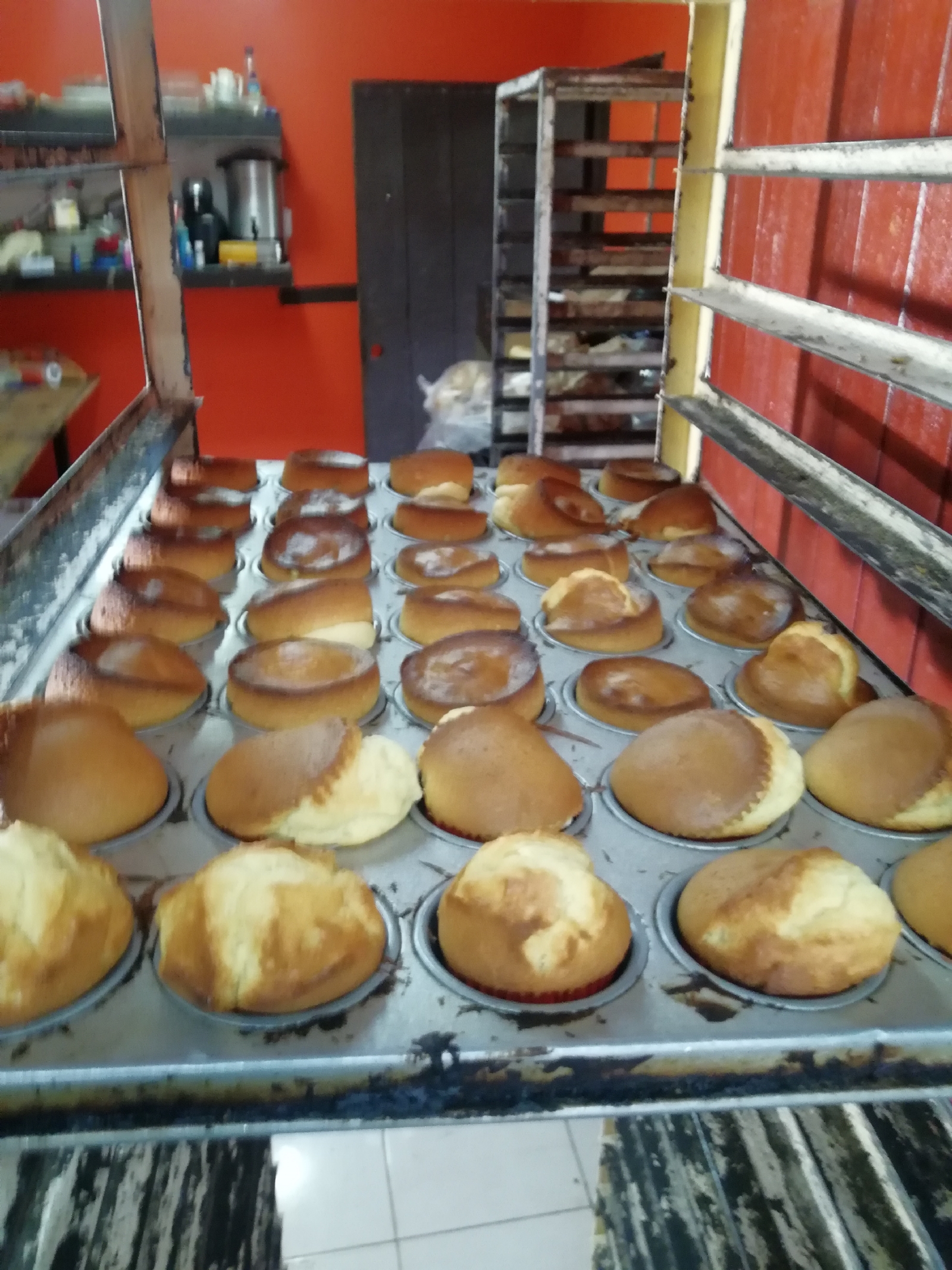 Panaderos de Felipe Carrillo Puerto podrían cerrar sus locales por crisis económica