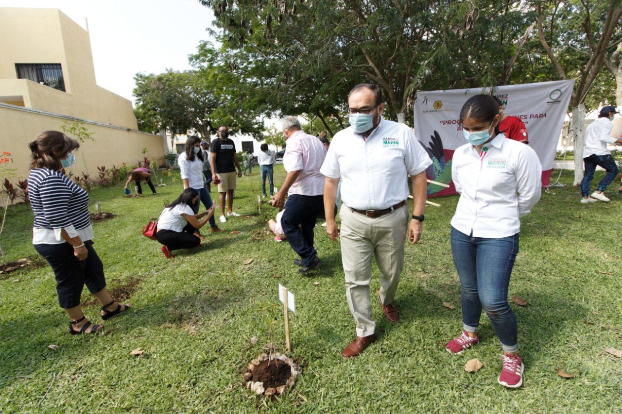 En este primer espacio se colocaron más de 20 plantas y se invitó a los vecinos a reforestar