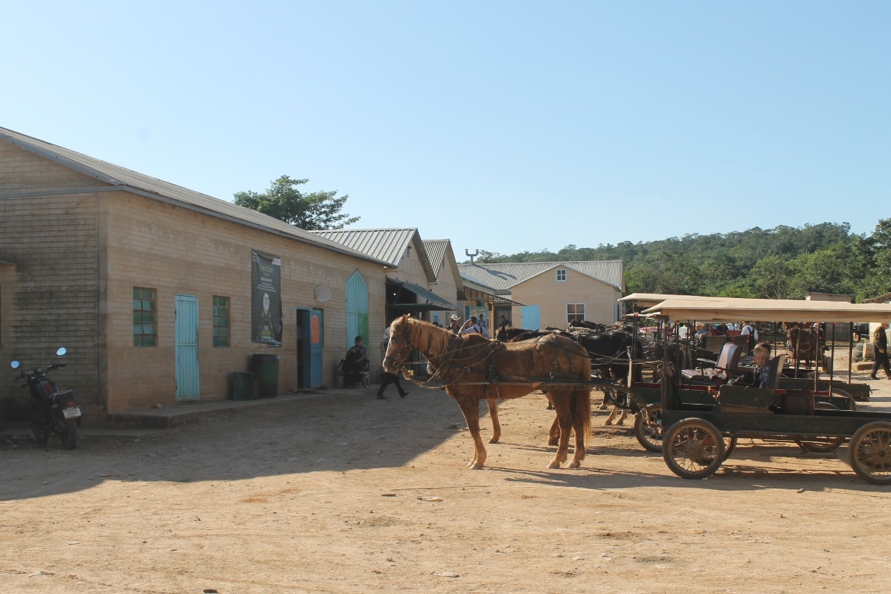 Yalnón, la comunidad menonita en Hecelchakán, Campeche