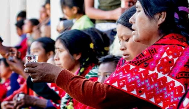 Pox, la bebida sagrada de los mayas en Chiapas