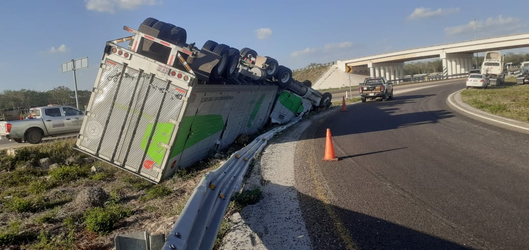 Tráiler con 30 toneladas de carne vuelca en la carretera Mérida-Campeche