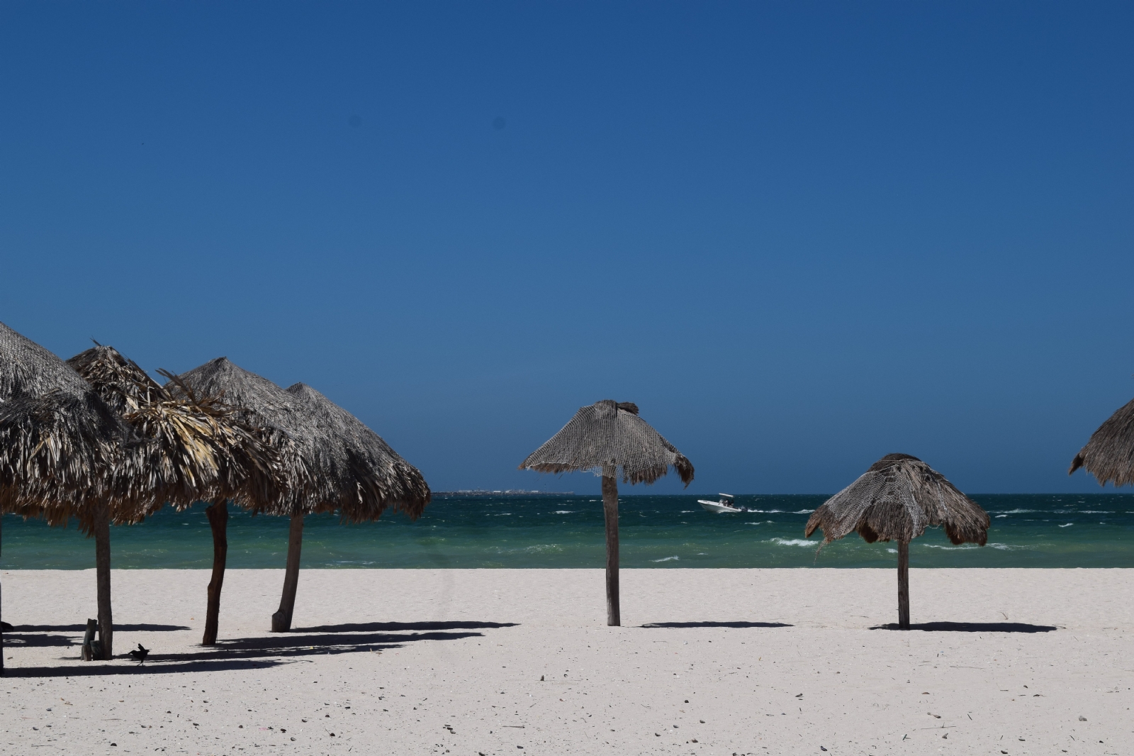 Dunas de Chuburná en Yucatán: ¿Qué hacer y cómo llegar?