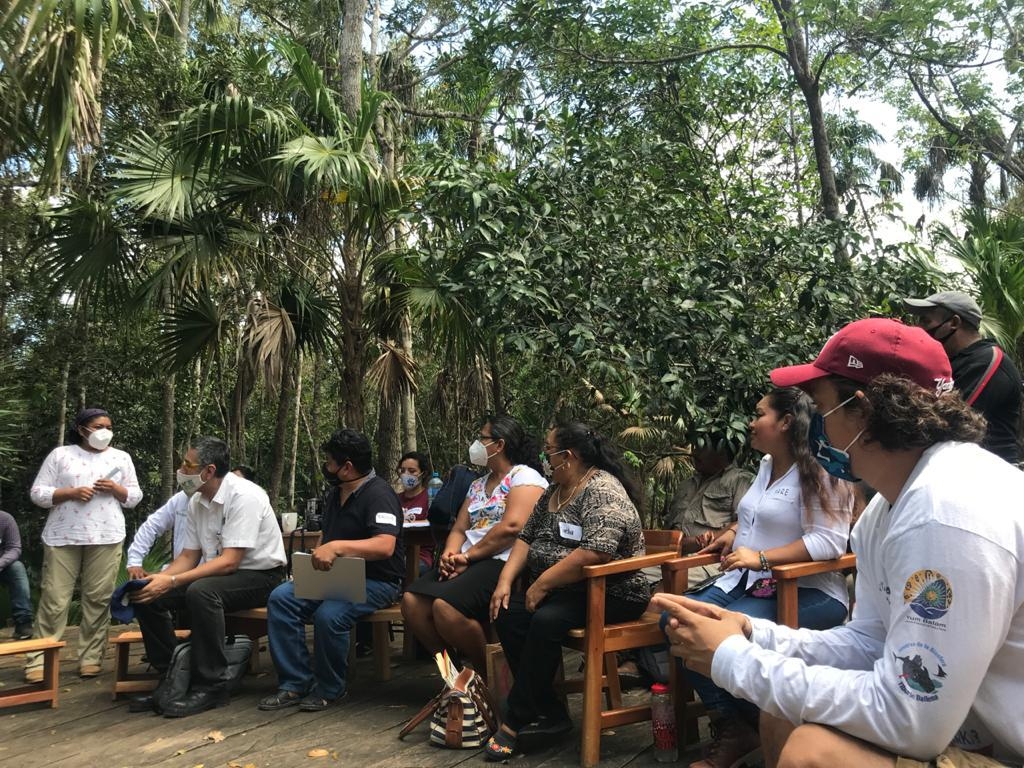 Tren Maya: Inician los trabajos evaluativos de los tramos en Quintana Roo