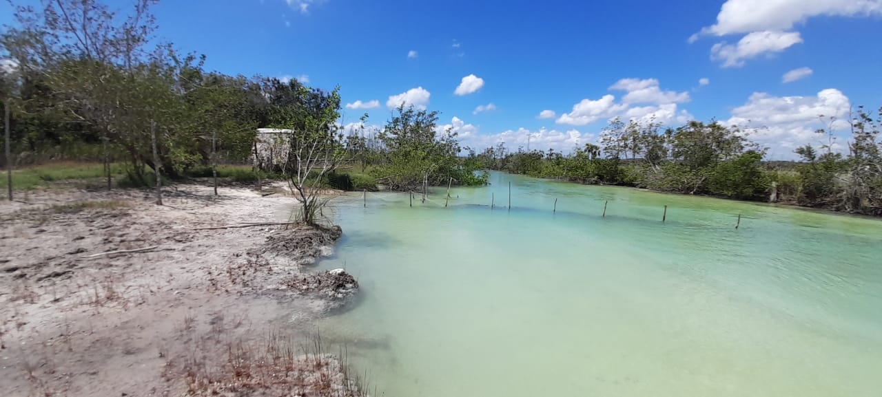 Marinos retiran redes de pesca en el Estero de Chac, en Chetumal