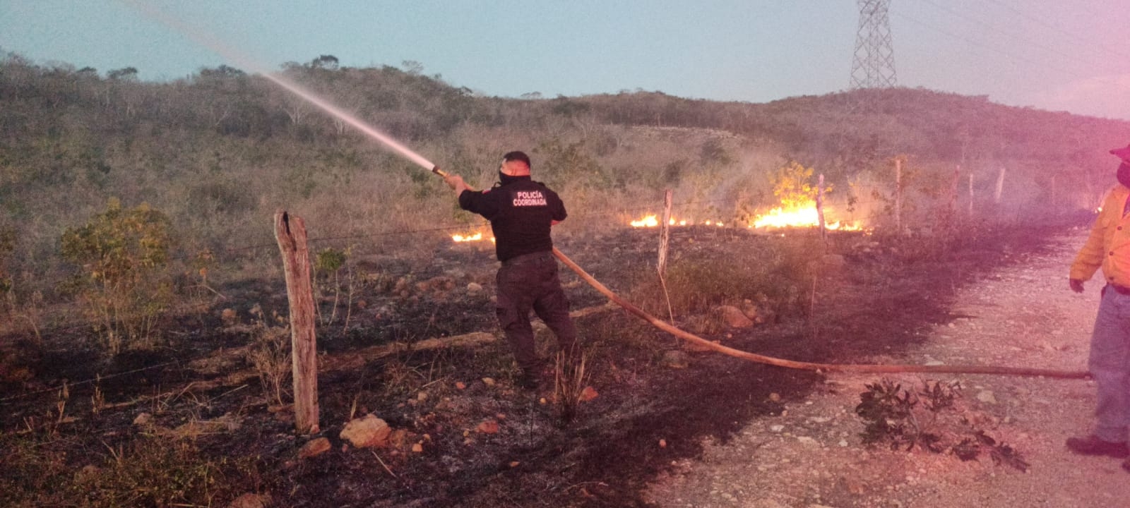 Procivy registra 15 incendios forestales durante marzo en Tekax