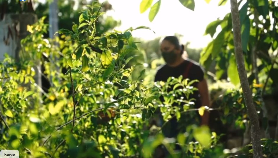 El proyecto ecológico es muy interesante.